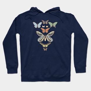 Catching Butterflies 1 Hoodie